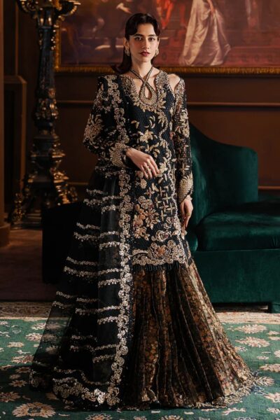 Afrozeh Hayat D-1127 Sarave Formals Collection