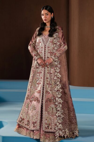 Afrozeh Hayat D-1129 Zarhel Formals Collection