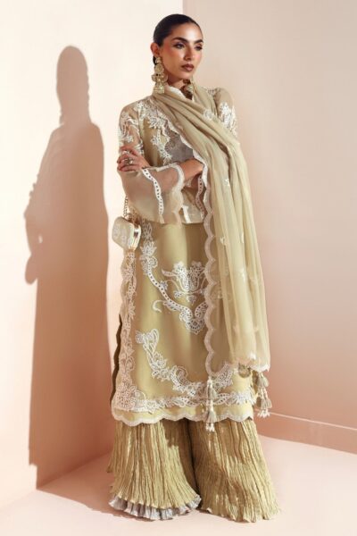 Alizeh Aymal Aliha D-2207