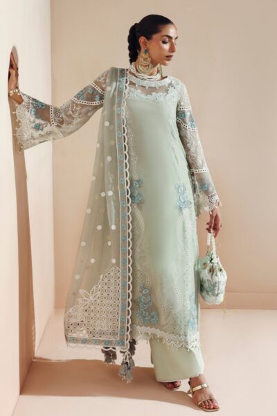 Alizeh Aymal Saiyaara D-2199