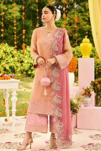 Alizeh Shehnai Sitara Zn-2218