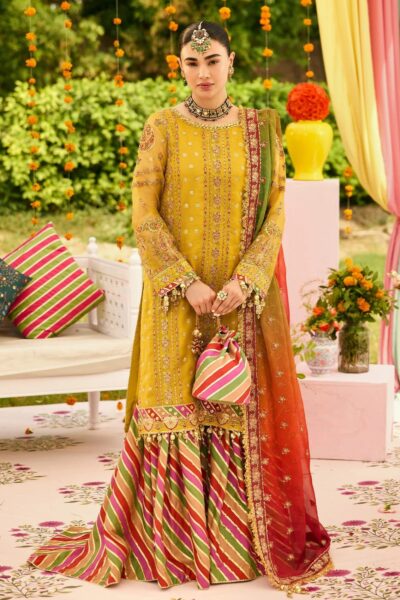 Alizeh Shehnai Zarposh Zn-2215