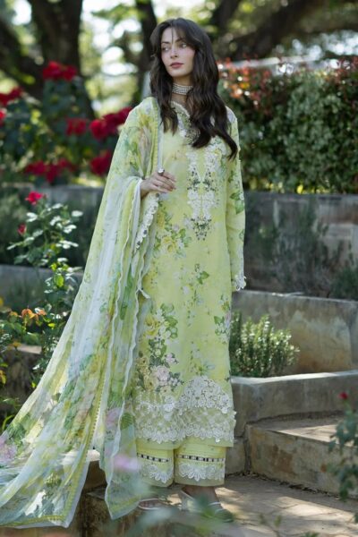 Elaf Premium  Esa-07A Ivory Season