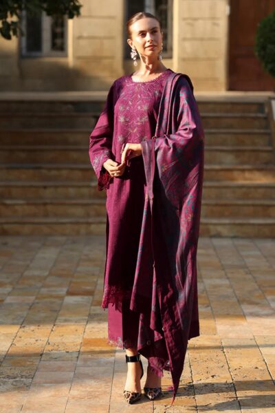 Rang Rasiya Carnation Luxury Shawl Edit Cwd-11 Espresso