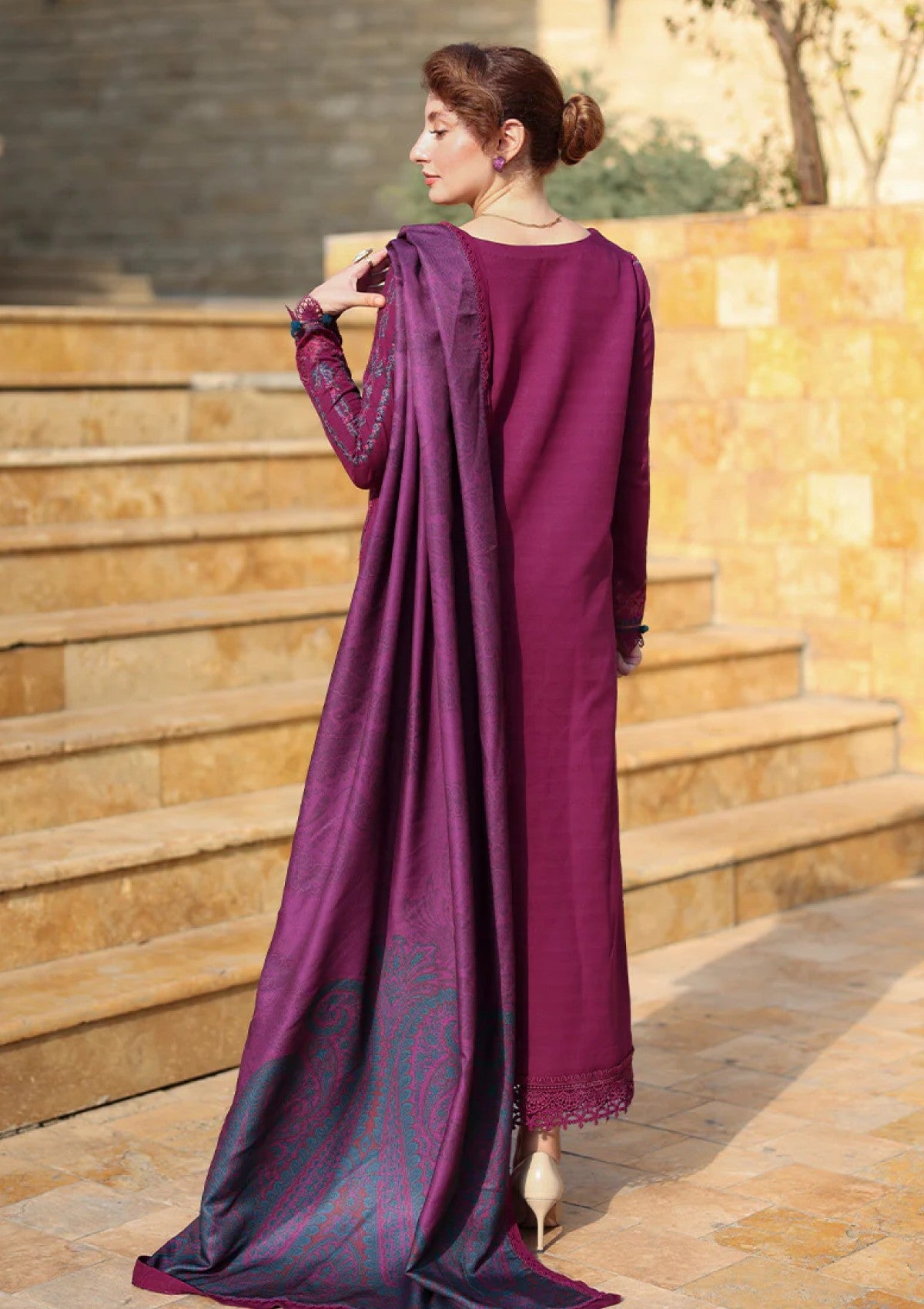 Rang Rasiya Carnation Luxury Shawl Edit Cwd-12 Frappe Winter Collection 2 Rang Rasiya Carnation Luxury Shawl Edit Cwd 12 Frappe