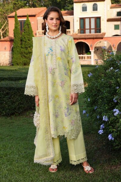 Rang Rasiya Florence Premium Summer Misha