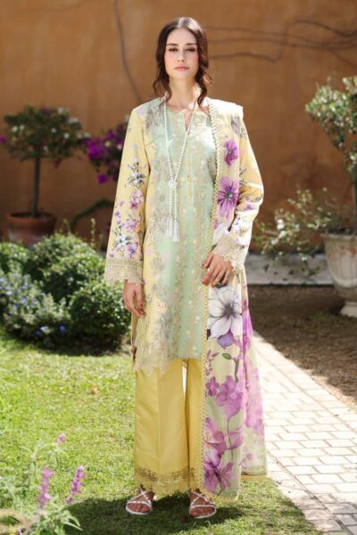 Rang Rasiya Lifestyle Summer V1Sld-11 Hazel