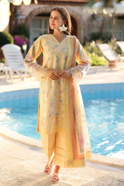 Ayleen Qalam E Rang Naqsh