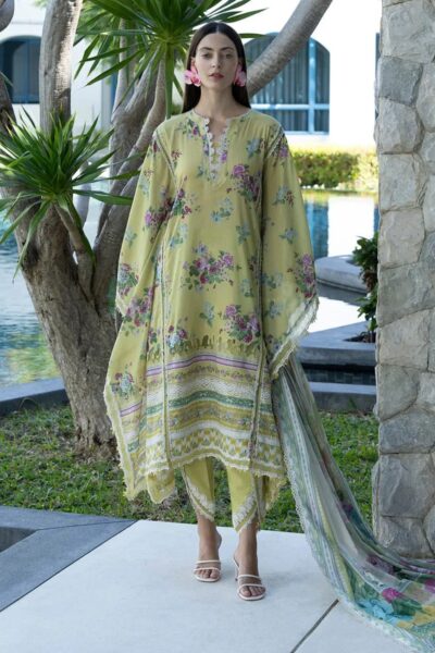 Elaf Premium Avocado Epn-04a Lawn