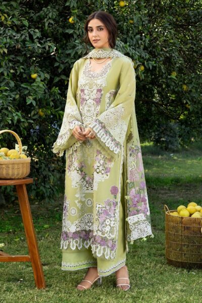 Elaf Premium Pistachia Ely-08 Lawn