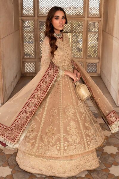 Meeral Raqs Luxury Festive