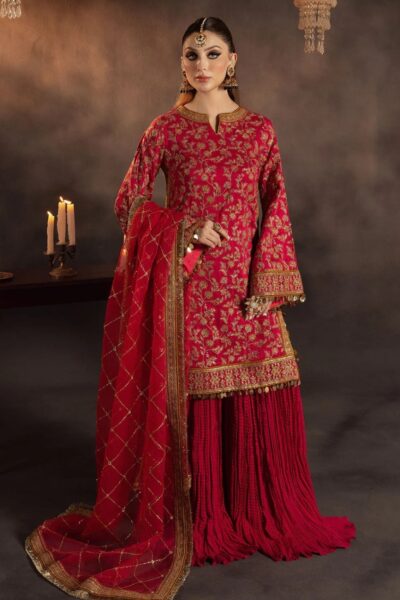 Meeral Shabo Luxury Festive