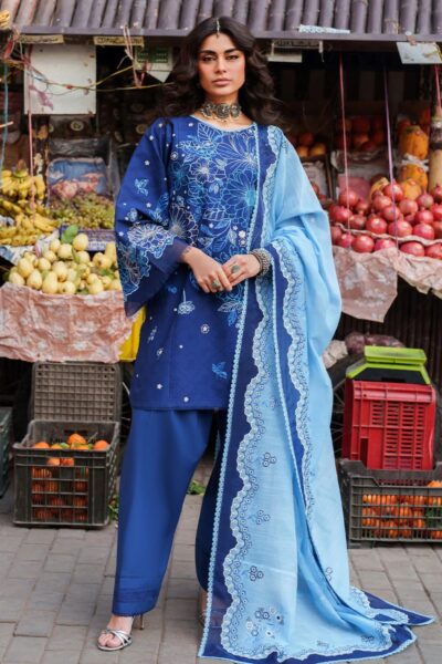 Bin Ilyas Suroor Summer Bs 244 B Lawn Collection 2026