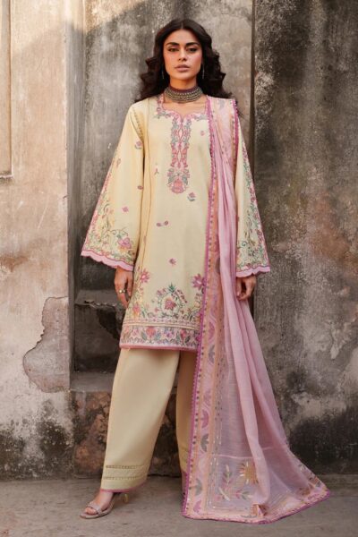 Bin Ilyas Suroor Summer Bs 247 B Lawn Collection 2026