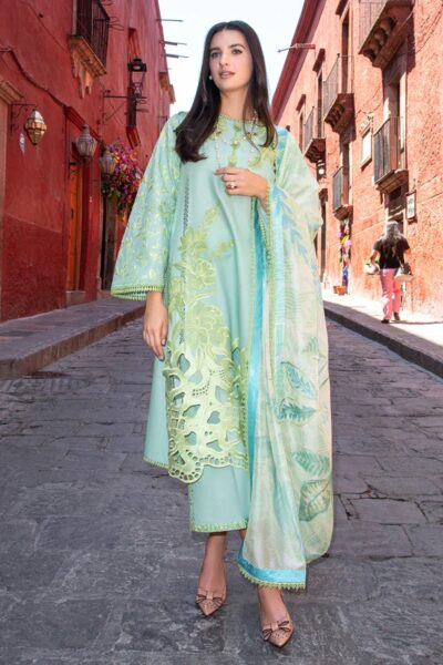 Mushq Odyssey Hunss 410 Paloma Lawn Collection 2026