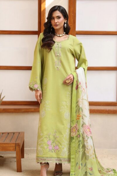 Raaya Rameen Vol Ii Daisy Lawn Collection 2026