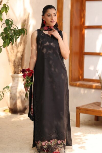 Raaya Rameen Vol Ii Zenith Lawn Collection 2026