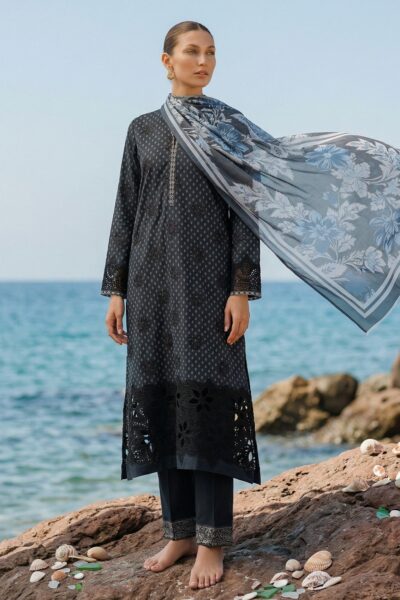 Rubaaiyat Elanora Re 01 Lawn Collection 2026