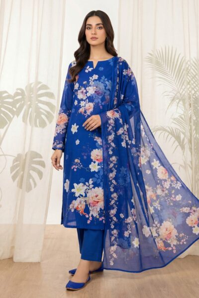 Rubaaiyat R Prints Volume 3 D 17 Blue Lawn Collection 2026