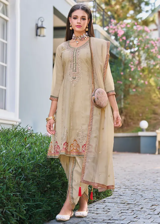 Organza Punjabi Suit